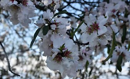 Διατηρούνται οι χαμηλές θερμοκρασίες την Παρασκευή – Πρώτη πρόγνωση του καιρού για το Σαββατοκύριακο