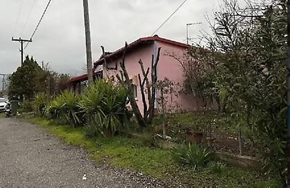 Πιερία: Στην ανακρίτρια η 34χρονη που σκότωσε και έθαψε στην αυλή του σπιτιού τον 58χρονο σύντροφό της