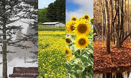 Τοπικές βροχές τις επόμενες ημέρες , χιόνια στα ορεινά - Bαθμιαία άνοδος της θερμοκρασίας