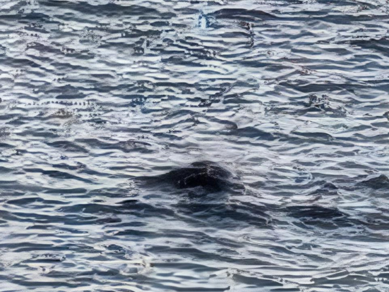 Κυνηγός κατέγραψε την πρώτη «καθαρή» φωτογραφία από το τέρας του Λοχ Νες