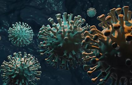 BBC: Επιστήμονες από το Ισραήλ ανακάλυψαν νέο τμήμα του ανοσοποιητικού συστήματος