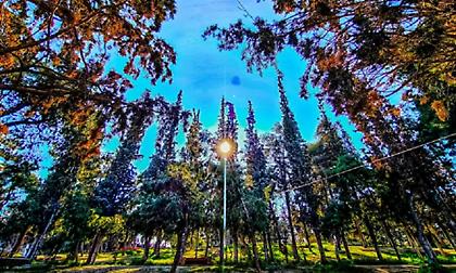 Ανοιξιάτικος ο καιρός σήμερα, Παρασκευή- Ανεβαίνει στους 20 βαθμούς η θερμοκρασία