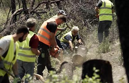 Χρηματοδότηση €40 εκ. από το υπουργείο Εσωτερικών στους δήμους για δράσεις πυροπροστασίας