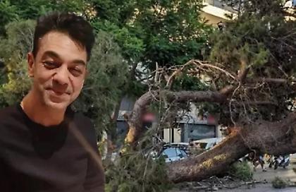 Ηράκλειο: Αποζημίωση 385.000 ευρώ στην οικογένεια του 51χρονου Παναγιώτη που καταπλακώθηκε από πεύκο και σκοτώθηκε