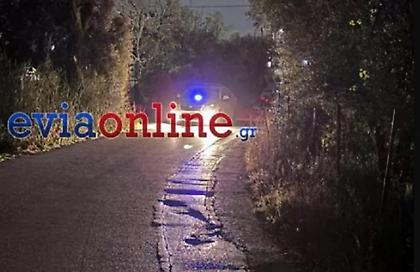 Έγκλημα στη Χαλκίδα: Διένεξη για την οικία είχαν θύτης και θύμα