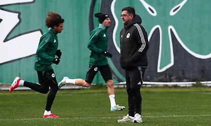 Δεσύλλας: «Θέλει να δει έναν βελτιωμένο Παναθηναϊκό την Κυριακή ο Βιτόρια - Τι ισχύει με Αράο»