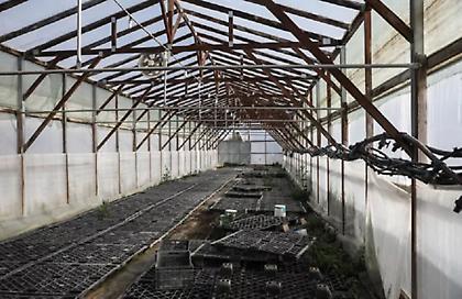 Τραγωδία στον Βόλο: Έβαλε τέλος στη ζωή του επειδή θεώρησε ότι έφταιγε για φωτιά σε θερμοκήπιο