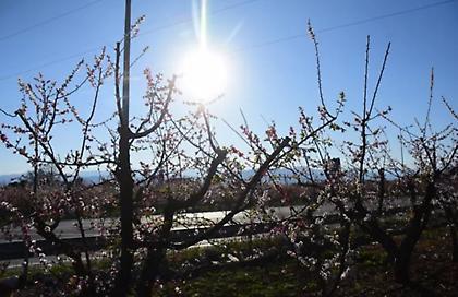 Καιρός: Τοπικές βροχές και μικρή πτώση της θερμοκρασίας