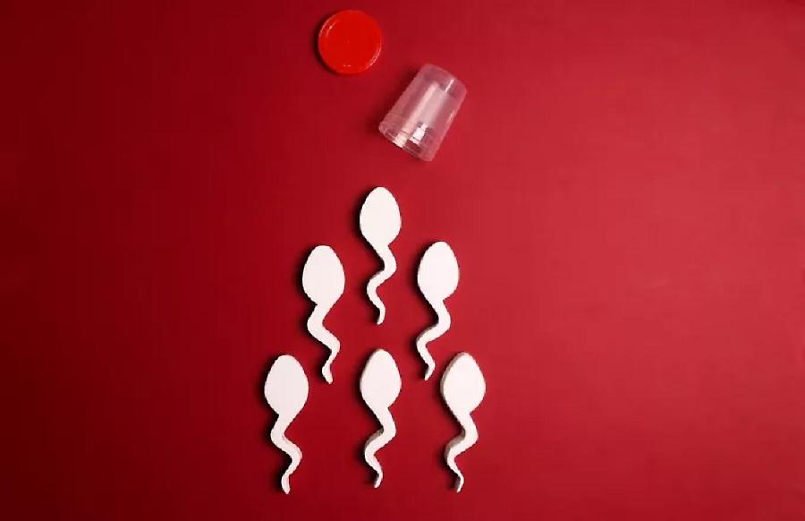 «Ιατρική συμφορά»: 85 Ολλανδοί δότες σπέρματος απέκτησαν πάνω από 25 παιδιά!