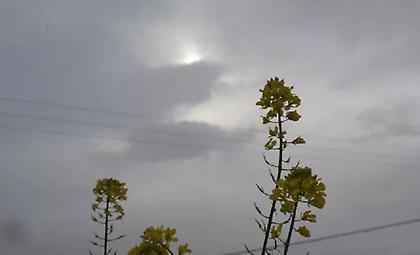 Καιρός: Συννεφιά και αφρικανική σκόνη στη χώρα τη Μ. Πέμπτη - Μικρή άνοδος της θερμοκρασίας