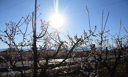 Καιρός: Αίθριος με λίγες νεφώσεις τη Μ. Παρασκευή - Έως 26 βαθμούς η θερμοκρασία