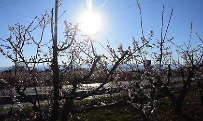 Κυριακή του Πάσχα: Η πρόγνωση του καιρού