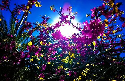 Καιρός: Βροχές, μεταφορά αφρικανικής σκόνης και αύξηση της θερμοκρασίας στους 25 βαθμούς