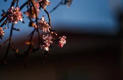 Καιρός: Σύννεφα, καταιγίδες και θερμοκρασία έως 23 βαθμούς