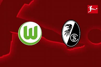 Βόλφσμπουργκ-Φράιμπουργκ