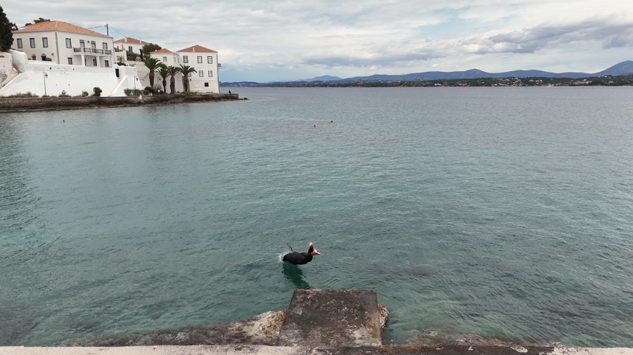 «Όπου υπάρχει Ελλάδα»| Ένας τριαθλητής γεννημένος στο νησί