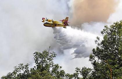 Φωτιά σε δασική έκταση στην περιοχή Άγιος Λέων στη Ζάκυνθο - Σηκώθηκαν αεροσκάφη και ελικόπτερο
