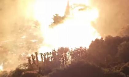 Πυρκαγιά στην Κερατέα: Μήνυμα του 112 για απομάκρυνση από την περιοχή Παλιοκαμάριζα