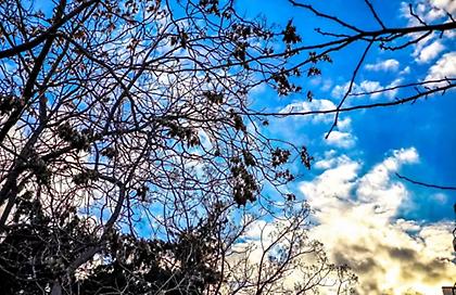 Αίθριος ο καιρός σήμερα σχεδόν σε όλη τη χώρα - Βροχές και καταιγίδες σε Δωδεκάνησα και Κρήτη