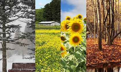 Τοπικές βροχές , κυρίως , στα δυτικά, κεντρικά και βόρεια - Πτώση της θερμοκρασίας την Κυριακή