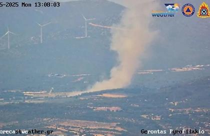 Φωτιά στη Ριτσώνα: Κινητοποιήθηκαν δεκάδες πυροσβέστες - Σηκώθηκαν ελικόπτερα