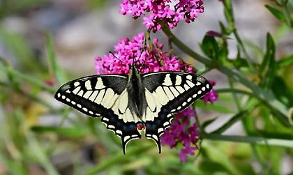 Αίθριος ο καιρός σήμερα - Σε άνοδο η θερμοκρασία