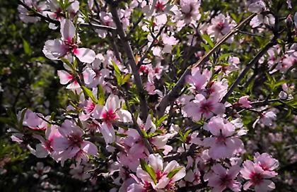 Εορτολόγιο: Ποιοι γιορτάζουν σήμερα, 22 Μαΐου