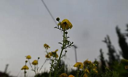 Συννεφιά, τοπικές μπόρες και πτώση της θερμοκρασίας την Παρασκευή