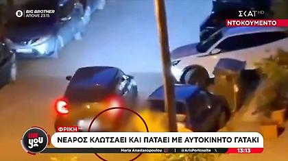 Φρίκη: Νεαρός κλωτσάει και πατάει με το αυτοκίνητο γατάκι στην Καλαμαριά-Βίντεο ντοκουμέντο
