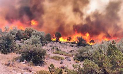 Πυρκαγιές: 323 Ευρωπαίοι πυροσβέστες τη φετινή αντιπυρική περίοδο στην Ελλάδα