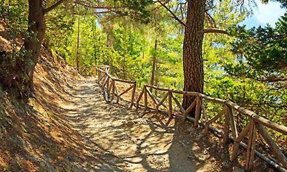 Κρήτη: Νεκρός τουρίστας στο Φαράγγι της Σαμαριάς