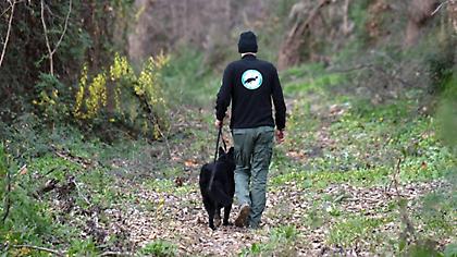 Ιεράπετρα: Εξαφανίστηκε 65χρονη συγγραφέας – Μεγάλη κινητοποίηση για τον εντοπισμό της