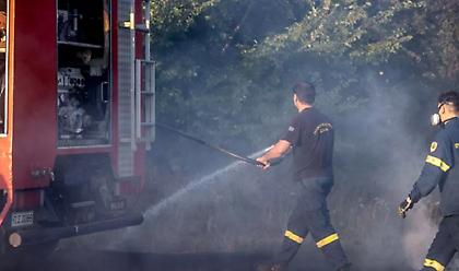 Βοιωτία: Συνελήφθη 73χρονος για εμπρησμό από πρόθεση
