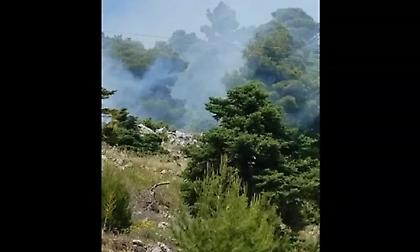 Φωτιά στα Βίλια Αττικής - Ισχυρές δυνάμεις της Πυροσβεστικής μεταβαίνουν στο σημείο