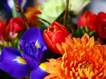 Ποιοι γιορτάζουν σήμερα του Αγίου Πνεύματος