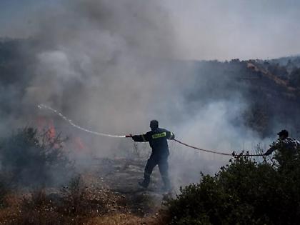 Από μια καρακάξα φαίνεται πως ξεκίνησε η φωτιά στο Γραμματικό - Το σενάριο που εξετάζεται