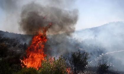 Φωτιά σε χαμηλή βλάστηση στην Τήνο