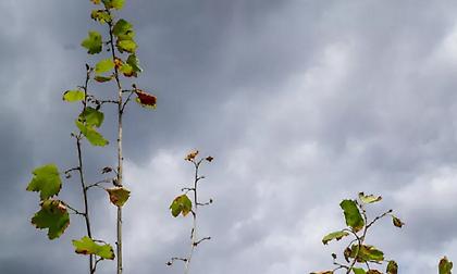 Καιρός: Πού αναμένονται σήμερα βροχές και καταιγίδες - Η πρόγνωση της ΕΜΥ