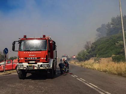 Φωτιά στη Χίο: Μεγάλη αναζωπύρωση στο βουνό Προβατά