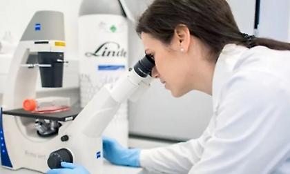 Θεσσαλία: Κτηνοτρόφος πέθανε από αιμορραγικό πυρετό Κριμαίας-Κονγκό μετά από τσίμπημα τσιμπουριού