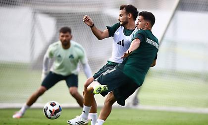 Άρχισε η σκληρή δουλειά στην Αυστρία, τα πρώτα «θέλω» του Βιτόρια!