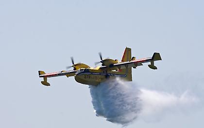 Φωτιά στη Φθιώτιδα - Μεγάλη κινητοποίηση της Πυροσβεστικής