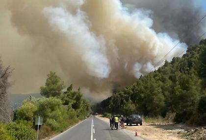 Καλύτερη η εικόνα στη φωτιά της Χαλκιδικής - Απομακρύνθηκαν 200 κατασκηνωτές