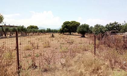 Η Πυροσβεστική ξεκίνησε ελέγχους σε ακαθάριστα οικόπεδα - 3.748 καταγγελίες πολιτών σε 18 ημέρες!