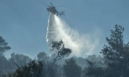 Σε ύφεση η φωτιά στην Εύβοια - Σε επιφυλακή οι αρχές λόγω ισχυρών ανέμων