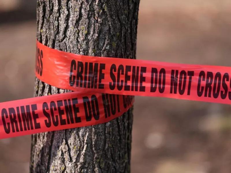 Σοκ στις ΗΠΑ: 33χρονος αποκεφάλισε live τον πατέρα του για να ανατρέψει την κυβέρνηση