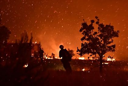 Ανεξέλεγκτη η φωτιά στον Ωρωπό: Τρία τα πύρινα μέτωπα, απειλούνται σπίτια