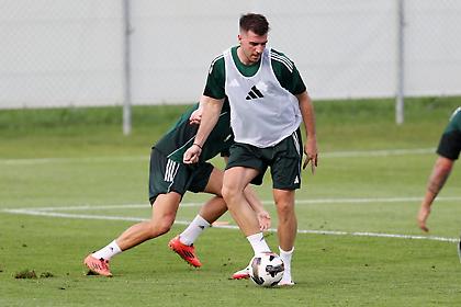 Παναθηναϊκός: Νοκ άουτ Ιωαννίδης, Τσιριβέγια και Μλαντένοβιτς με Σάλκε