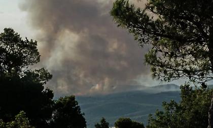 Μεγάλη περιβαλλοντική καταστροφή στον Ωρωπό -«Κάηκε μεγάλο μέρος του δάσους», λέει ο δήμαρχος