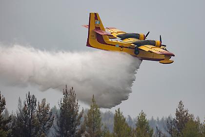 Θάσος: Μαίνεται σε δύο μέτωπα η φωτιά – Επιχειρούν τα εναέρια μέσα